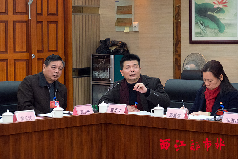 各縣（市）代表為推進新型城鎮(zhèn)化建言獻策