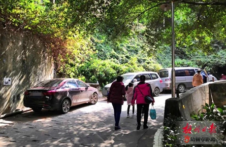 車輛亂停現象死灰復燃