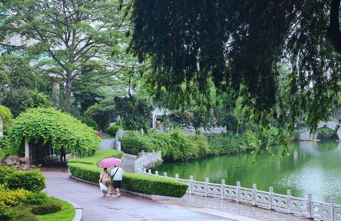 雨中公園 清新寧靜