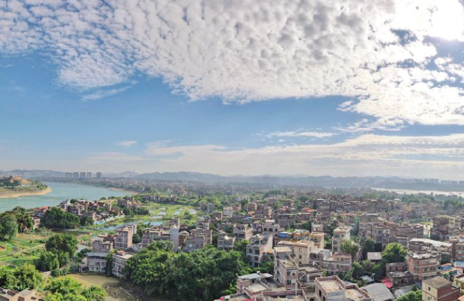 魚鱗云邂逅晴空