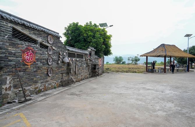 凝聚治理合力 共建和美鄉村