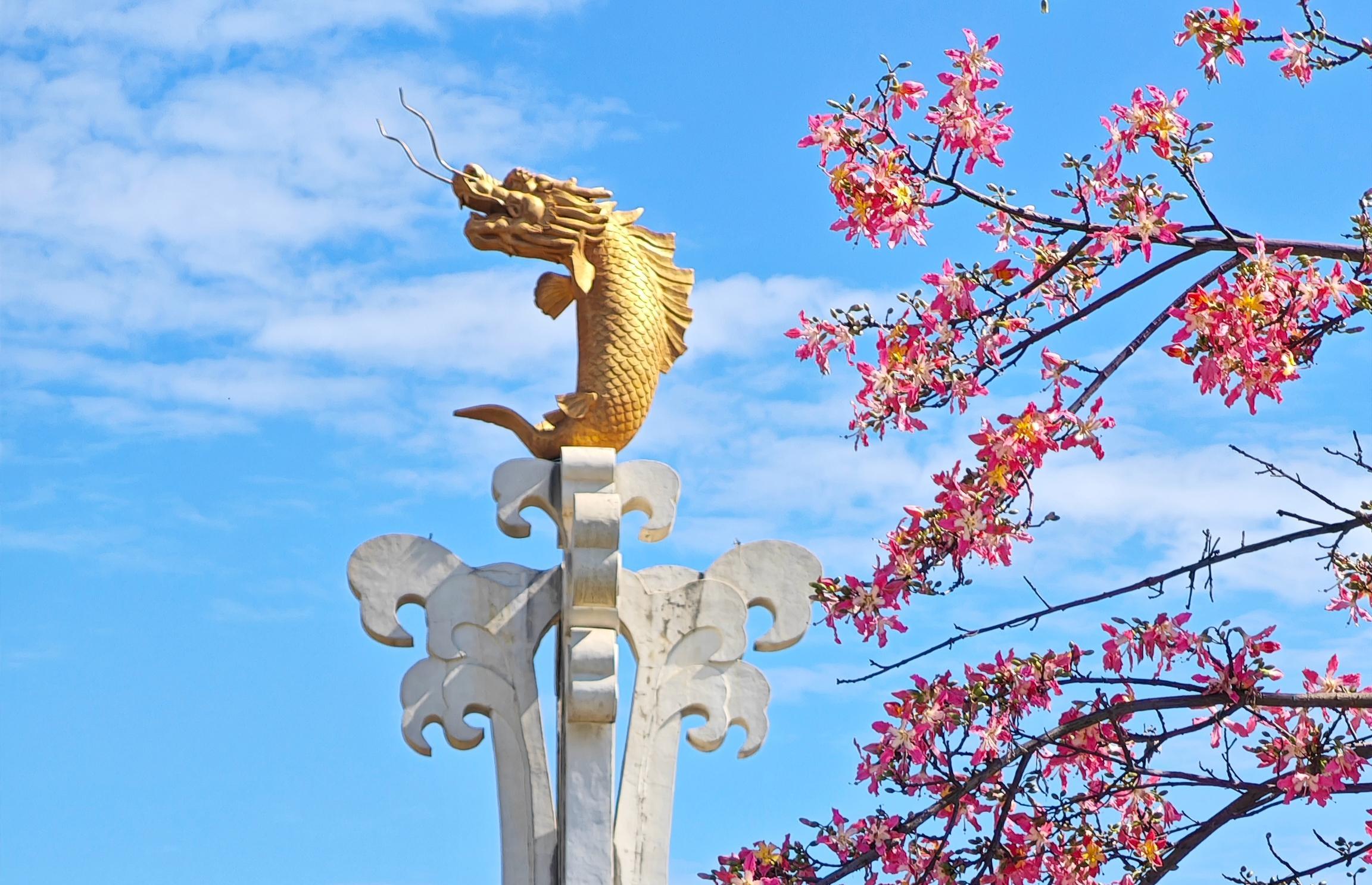 應(yīng)季花朵盛開